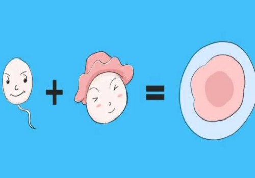 成都助孕机构：女性有多少个基础卵泡才算正常