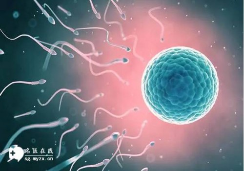 孕后期食用花胶要适度，深入了解医生不建议孕妇过量摄入的原因！