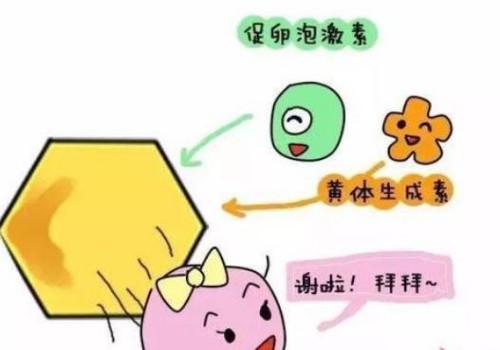 怀孕期间脉搏跳动有什么改变？用这些方法检验怀孕才靠谱