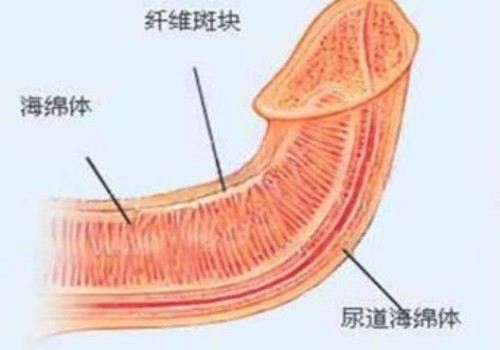 脐带血二十年到期后怎么处理？脐带血的收费情况了解清楚好作准备