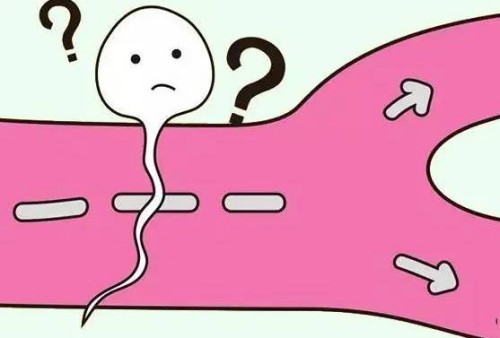 囊胚移植后肚子疼是怎么回事？一起来追究主要原因