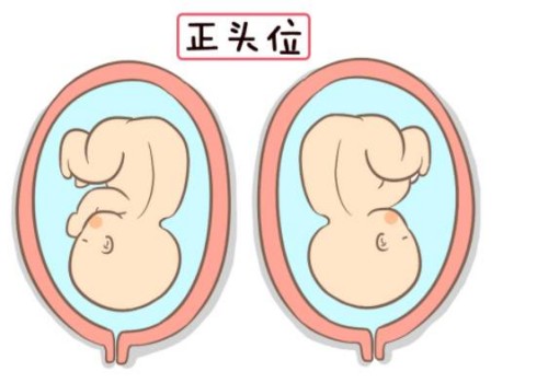 女性绝经后做供卵试管的成功率有多高？做到这三点就能成功率翻倍