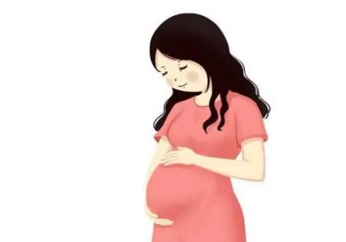 成都试管助孕公司：宫腔粘连吃益母草颗粒有用吗？益母草功效千万别乱喝