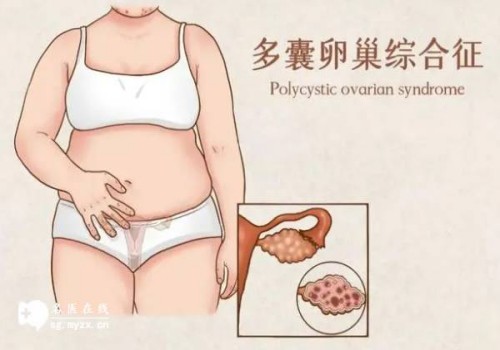 2022年湖北试管婴儿医院介绍，附三代试管费用清单