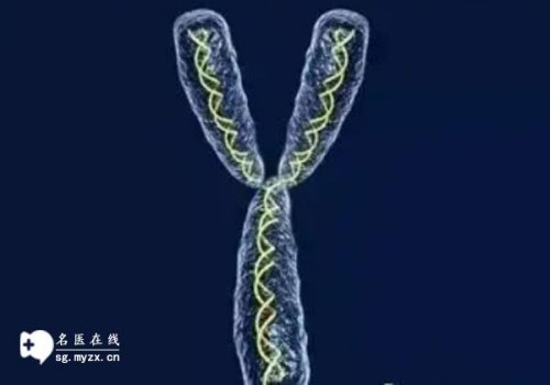 成都试管助孕价格：宫外孕有什么办法避免,注意这几点预防宫外孕