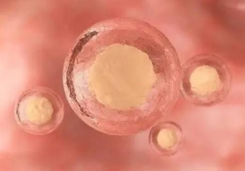 成都助孕：红星婴幼儿奶粉各系列汇总，各系列奶粉有不同优势