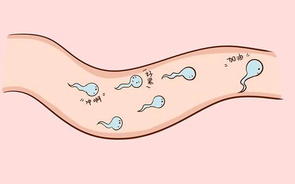生化妊娠，到底和男性的精子有没有关系？